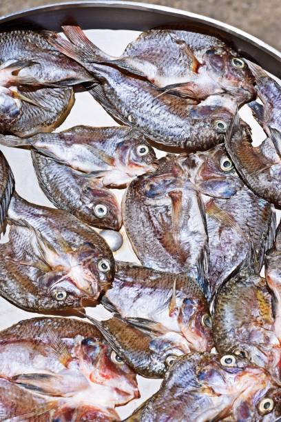 istock Dried fish - Bangkok fish market. 1271643360