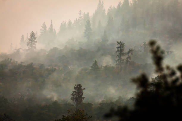 incendios en las montañas - wildfire smoke fotografías e imágenes de stock