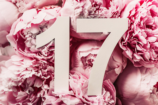 Creative layout. Peony flowers, digit seventeen. Birthday greeting card with inscription 17. Anniversary concept. Top view. Copy space. Stylish white numeral on flower background. Numerical digit.