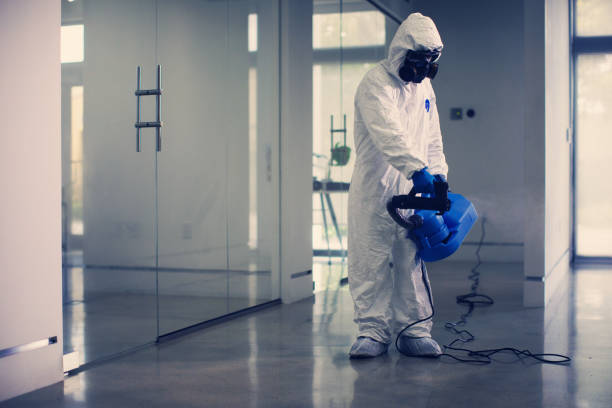 istock Modern corporate office disinfection by professional worker 1271660783