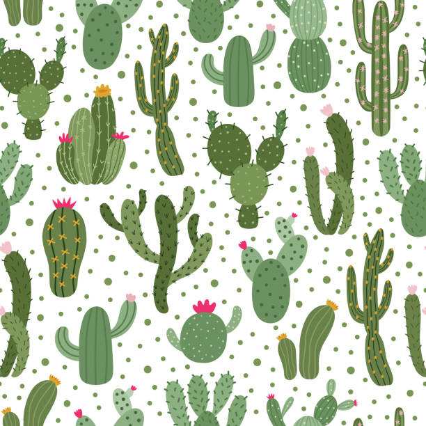 ilustraciones, imágenes clip art, dibujos animados e iconos de stock de patrón de cactus. patrón de planta de cactus sin costuras, suculentas plantas envolviendo impresión, linda ilustración de fondo vectorial de garódlo de cactus del desierto - cactus blooming southwest usa flower head