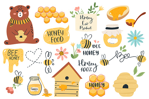 Cute honey symbols. Hand drawn honey jar, honeycomb and bee insects, funny honey doodle beekeeping farm isolated vector illustration set. Bear holding beehive, organic product icons