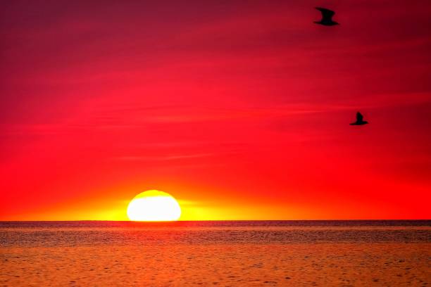 istock red sunrise or sunset over the sea 1271662168