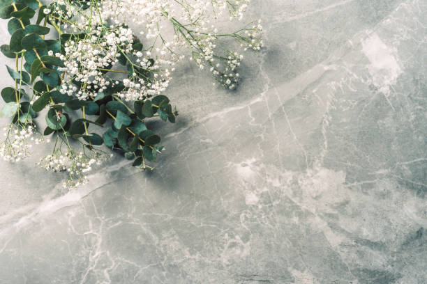 Flowers composition. Mock up. White gypsophila flowers and eucalyptus branches on marble background. Flat lay, top view, copy space. Wedding, birthday, anniversary bouquet. Woman day, Mother's day
