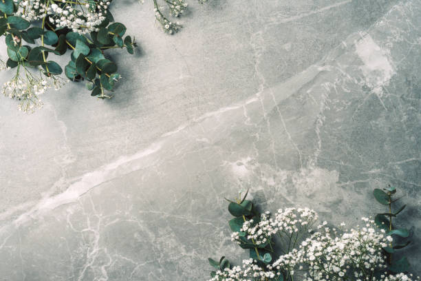 istock Minimalistic marble background with eucalyptus and gypsophila flowers. Top view. Copy space. Mock up. Blogger, feminine business concept. Feminine workspace 1271662336