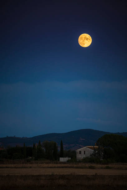 Country Night landscape with full moon, vertical. Maremma, Tuscany, Italy.