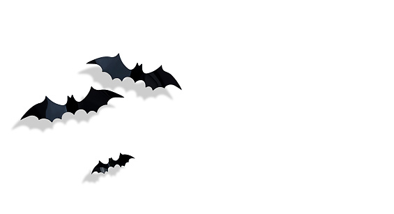 three flying bats on isolated background
