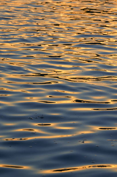 istock Danube river waves at sunset in Galati, Romania 1271673970