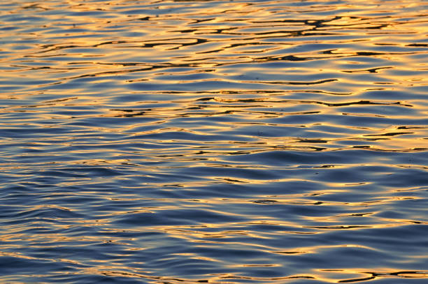 istock Danube river waves at sunset in Galati, Romania 1271673988