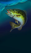 largemouth-bass-springt-aus-dem-wasser-realistische-illustration-hintergrund.jpg?b=1&s=170x170&k=20&c=xHX1eVffVA8PpVmT8T1QmZyxexIE_Z_Y-ScJNLtgQOg=