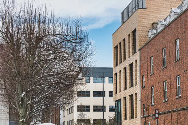 Leafless, snowy bare treetops in Eileen McLoughlin Park with downtown building brick facades or exteriors provide an illustration for real estate, land property and landlords in town - Dublin, Ireland