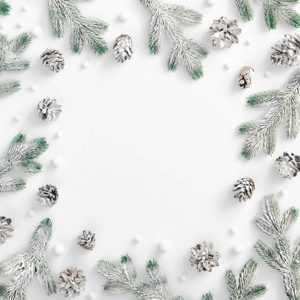 istock Evergreen tree branch with snow and pine cones. Square composition, flat lay, top view. Snow forest creative minimal layout. Copy space 1271683312
