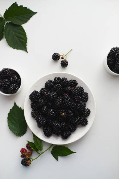 istock Flatley with a composition of a white plate with fresh blackberries, scattered blackberries and green leaves on a light background, top view 1271685102