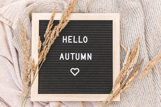 istock Autumnal Background. Black letter board with text phrase Hello Autumn and dried grass lying on white knitted sweater. Top view, flat lay. Thanksgiving banner. Hygge mood cold weather concept 1271686921