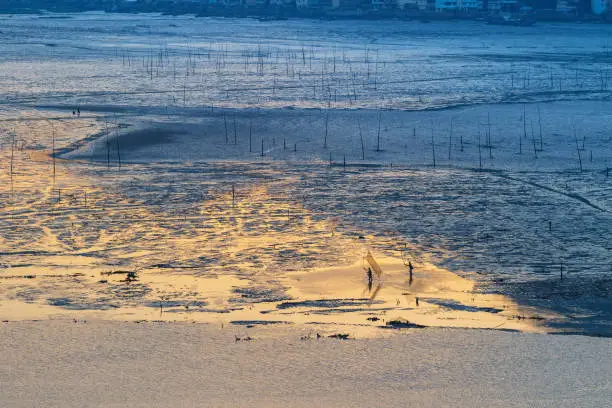 xiapu landscape, fisherman on tidal flats in early morning, fujian province, China