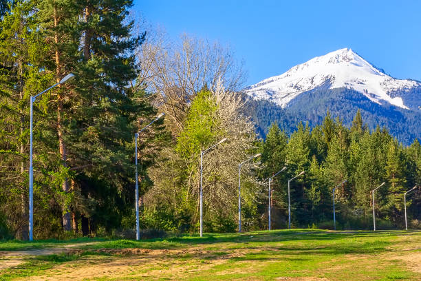 istock Woods and snow mountains, Bansko, Bulgaria 1271689082