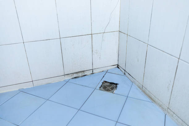 la saleté et la moisissure dans la salle de bains. - mold sink dirty mildew photos et images de collection