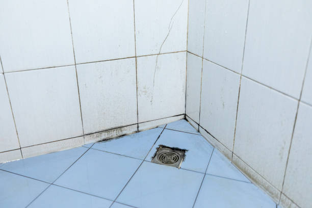 istock Dirt and mold in the bathroom. 1271689730