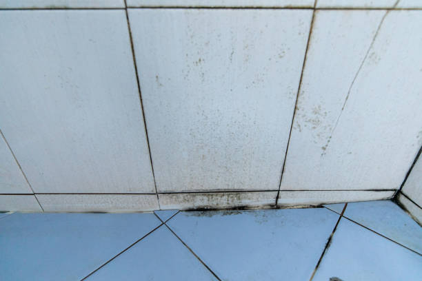 istock Dirt and mold in the bathroom. 1271689782