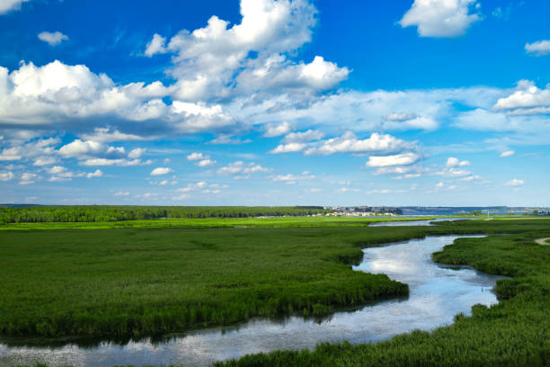 istock streams and green areas in nature 1271690925