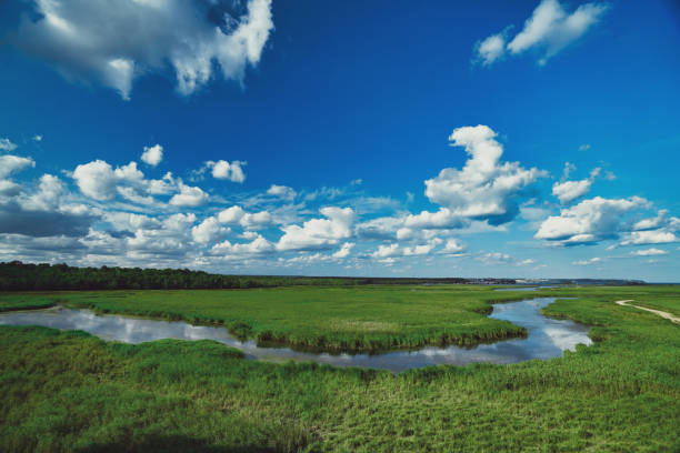 istock streams and green areas in nature 1271691042