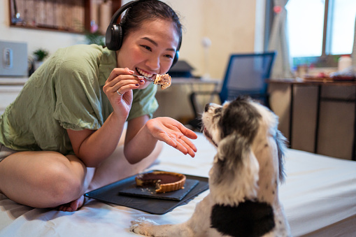 Young pretty Asian woman eating delicious chocolate tart on bed with her dog while listening music with hearphones in bedroom with work desk