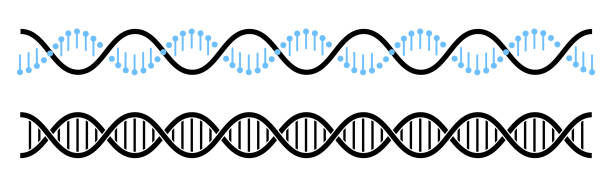 ilustraciones, imágenes clip art, dibujos animados e iconos de stock de icono de línea de hélice de adn, símbolo de adn en ilustración vectorial de estilo plano - helix