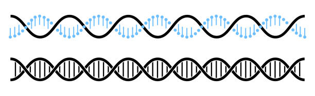 DNA helix line icon, DNA symbol in flat style vector illustration DNA helix line icon, DNA symbol in flat style vector illustration dna illustrations stock illustrations