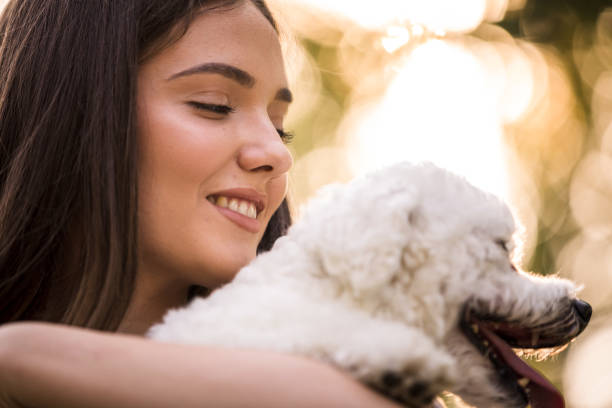 istock Pet owner looking at her dog's head 1271697353