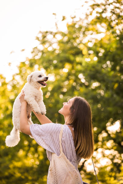 istock My best friend is hairy from head to tail 1271697357