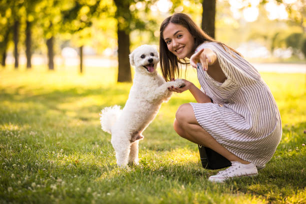 istock Showing her dog where other dogs are 1271697405