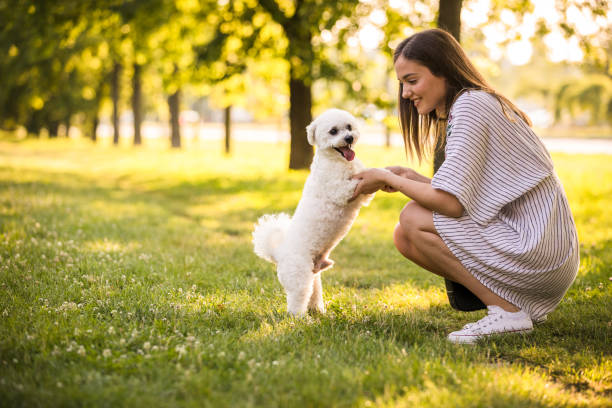 istock A lovely time at the public park 1271697416