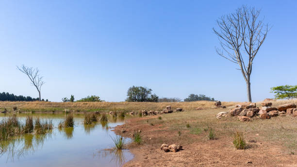 istock Rural Dam Half Empty Shoreline Landscape 1271698958