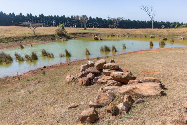 istock Winter Rural Dam Dry Landscape 1271699004