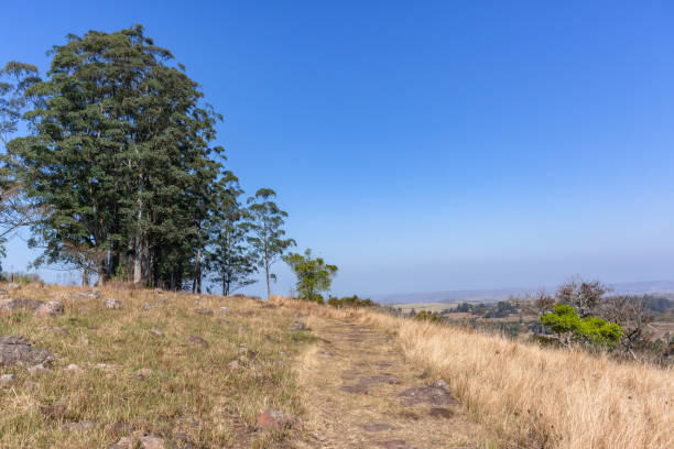 istock Dry Rural Landscape Trees Hikers Path Landscape 1271699027