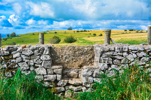 Traditional Stone Wall Style on a walk in the English Countryside