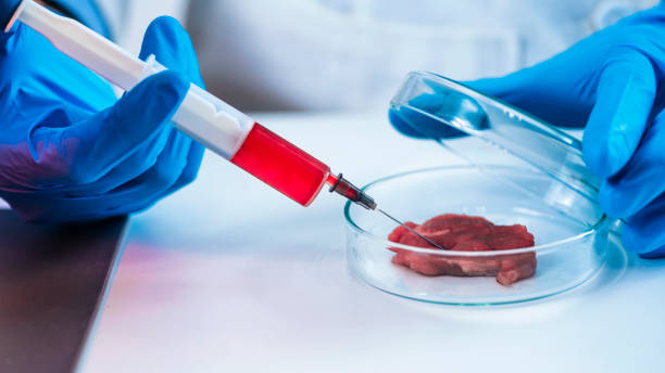 istock Scientist Injecting Red Substance with Syringe into Meat Sample in Petri Dish 1271705901