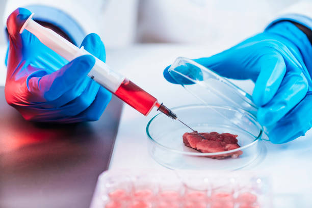 istock Scientist Injecting Red Substance with Syringe into Meat Sample in Petri Dish 1271706056
