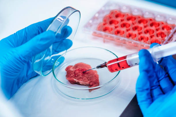 istock Scientist Injecting Growth Hormone into a Meat Sample 1271706135