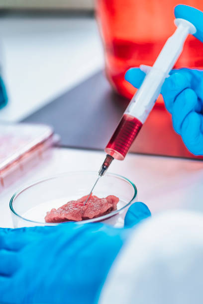 istock Scientist Injecting Growth Hormone into a Meat Sample 1271706181