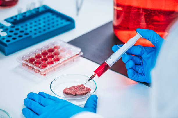 istock Scientist Injecting Growth Hormone into a Meat Sample 1271706289