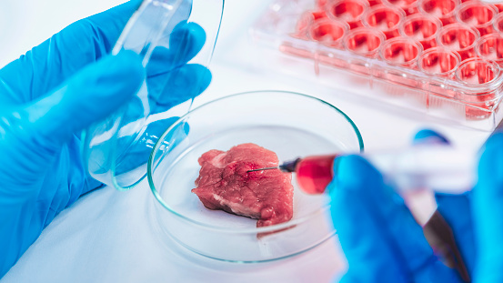 Scientist injecting red liquid with syringe into meat sample in petri dish, close-up