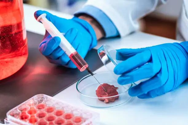 Photo of Scientist Injecting Red Substance with Syringe into Meat Sample in Petri Dish