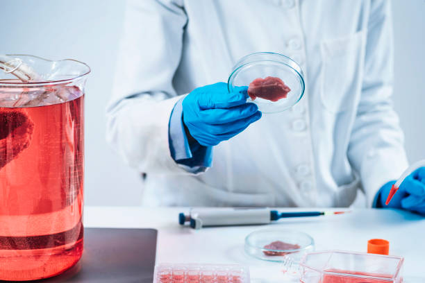 istock Female Scientist Looking at Meat Sample in Petri Dish in Laboratory 1271706485