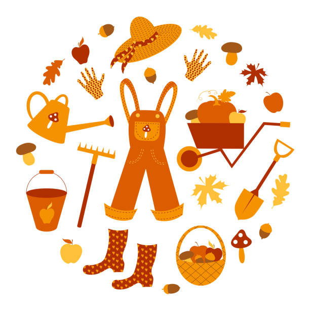 ilustrações, clipart, desenhos animados e ícones de jardinagem. conjunto de outono: macacão, chapéu de palha, botas de borracha e luvas, carrinho de mão, pá, ancinho, cesta, balde, lata de rega, abóbora, maçã, cogumelo, milho, bordo e folha de carvalho. design plano. - oak leaf leaf maple leaf autumn