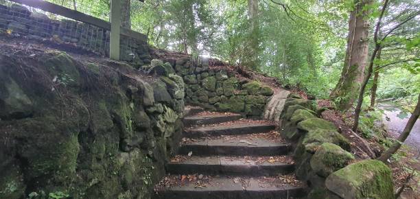 istock Old stairway in the woods 1271710592