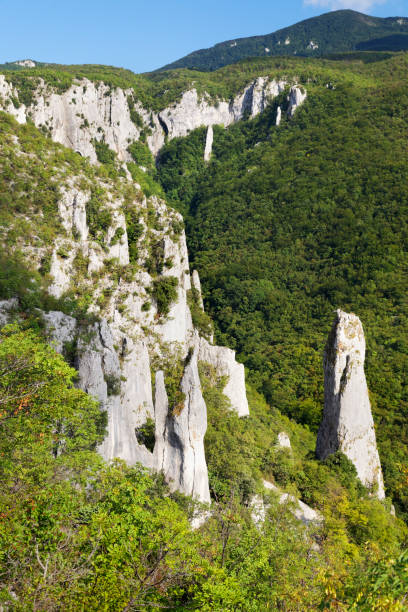 istock Vela Draga canyon and rocks 1271711307