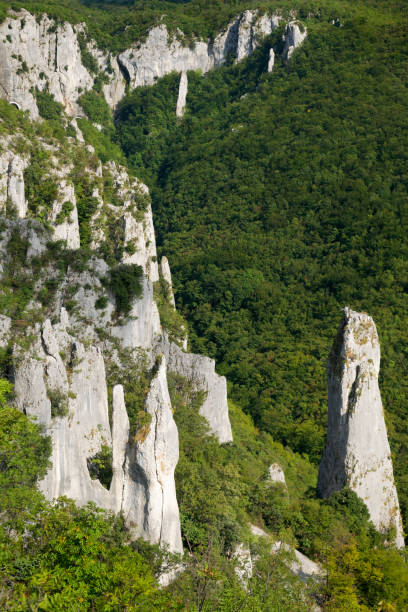 istock Vela Draga canyon and rocks 1271711390