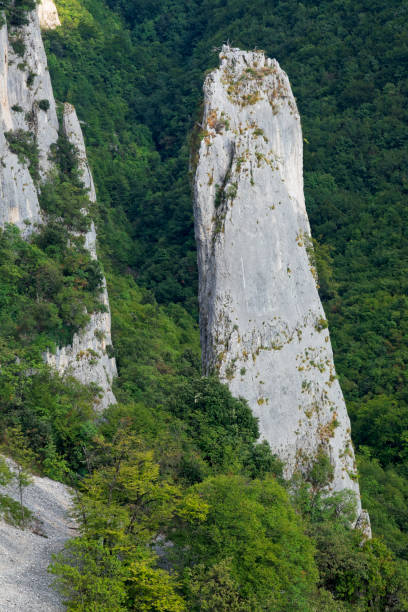 istock Vela Draga canyon and rocks 1271711480
