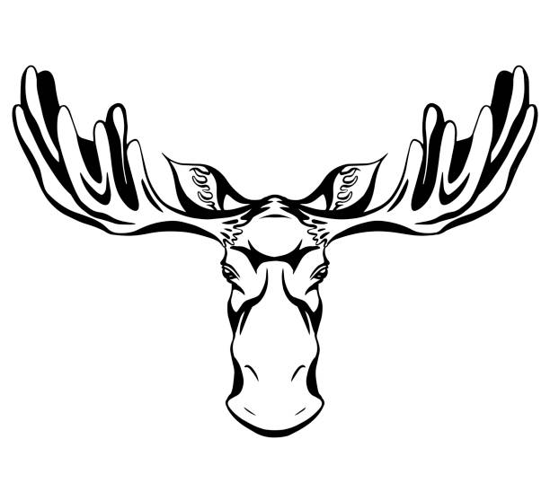 角の正面図がハッチング付きムースヘッドの輪郭黒のシルエット。野生の哺乳類。ベクトルアウトラインの図 - moose head点のイラスト素材／クリップアート素材／マンガ素材／アイコン素材